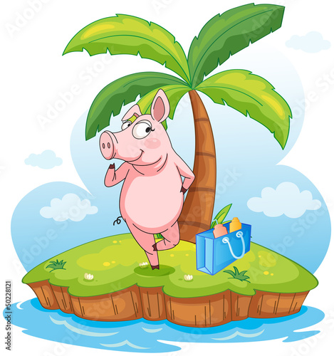 A pig in an island