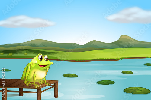 A frog above the wooden bridge