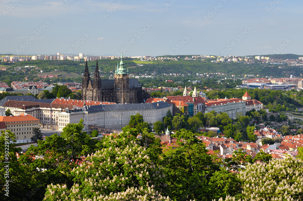 View of Prague city from Petrin tower