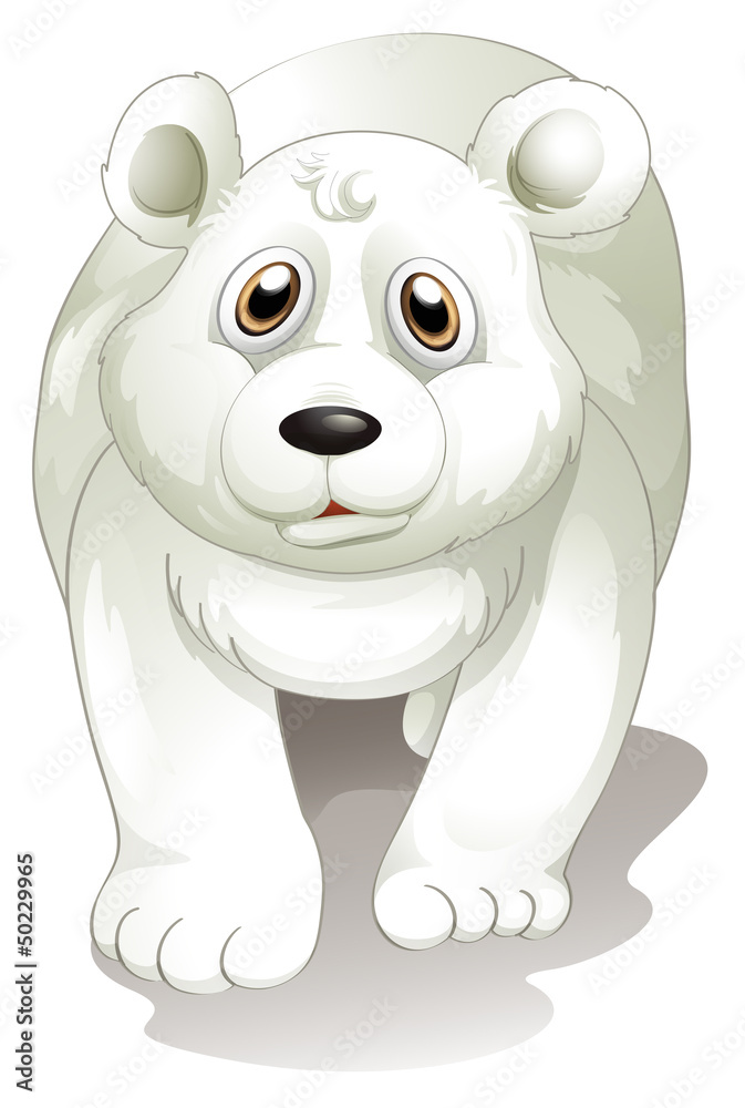 A giant white polar bear A giant white polar bear
