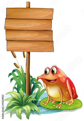 A frog above the water lily beside the wooden signboard