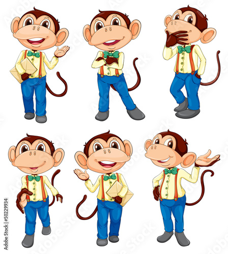 Different positions of a monkey