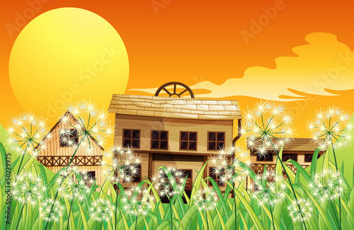 The wooden houses at the top of the hills
