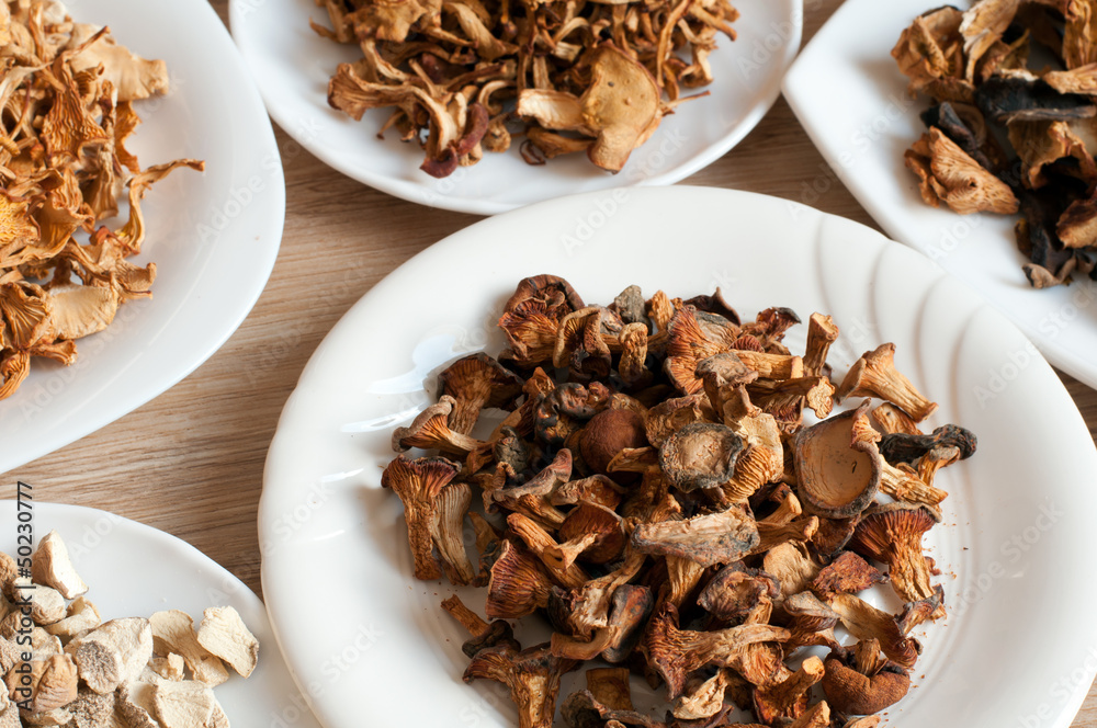 Dried mushrooms of different varieties Dried mushrooms of different varieties
