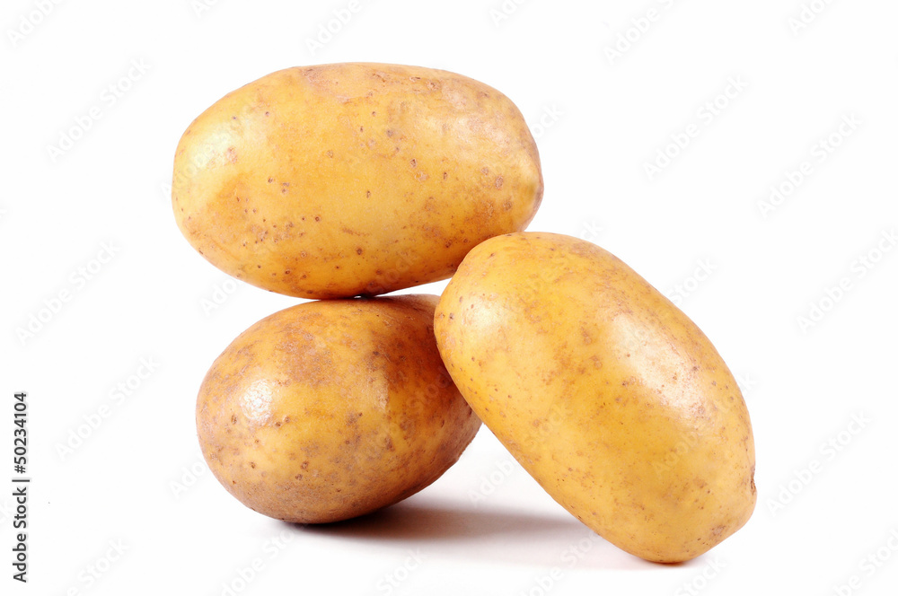 Potato on white background close up Potato on white background close up