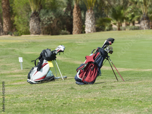 Two golf bags on a fairway