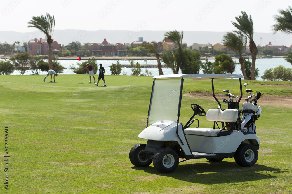 Electric golf buggy on a fairway Electric golf buggy on a fairway