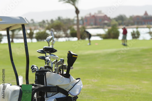 Closeup of golf clubs in a bag