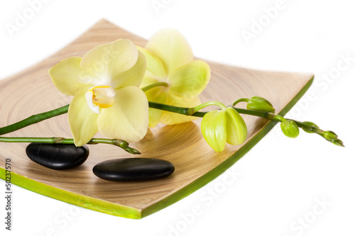 Spa concept  orchid and zen stones on a white background