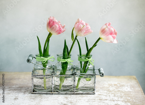 Fototapeta Naklejka Na Ścianę i Meble -  Rosa Tulpen