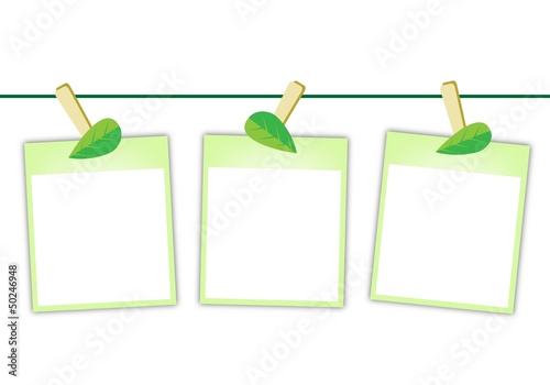 Blank Photos with Green Leaves Hanging on Clothesline