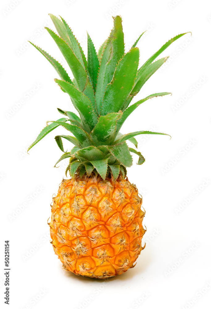 Fototapeta premium Ripe Pineapple Fruit