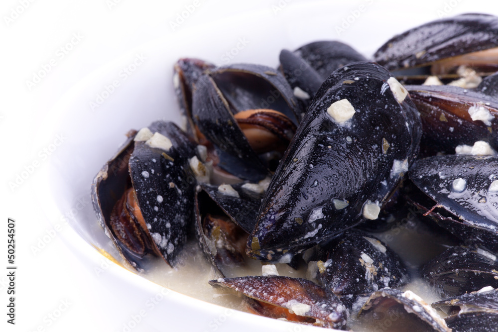 close up picture of mussels close up picture of mussels