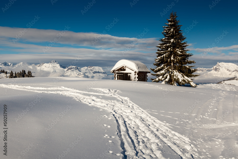 Small Hut and Fir Tree on the Top of the Mountain in French Alps