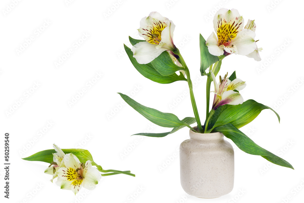 Minimalistic gentle bouquet Minimalistic gentle bouquet
