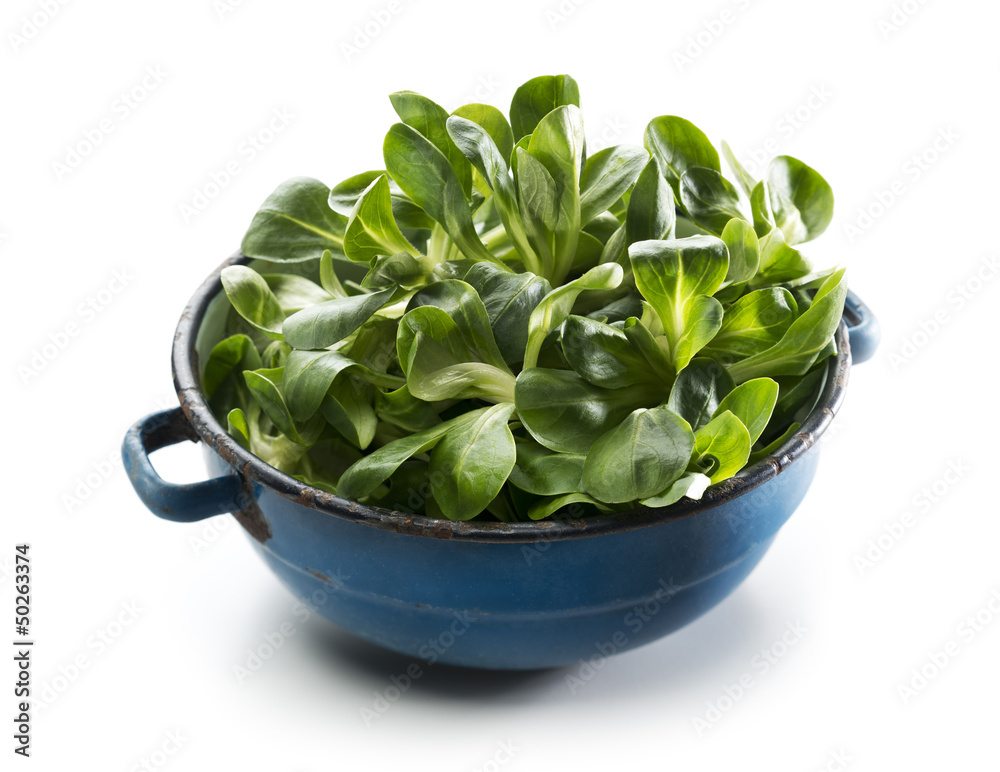Valerianella salad Valerianella salad