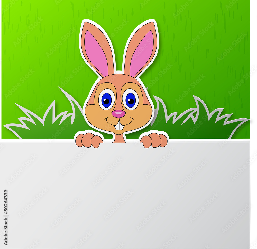 Obraz premium Rabbit with blank sign