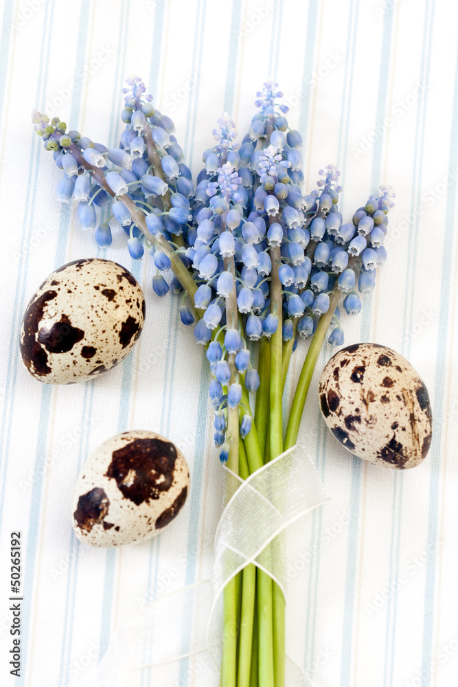 quail eggs