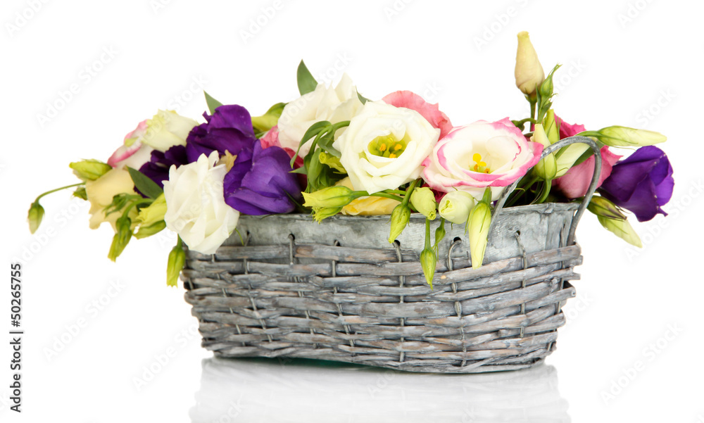 Bouquet of eustoma flowers in wicker basket isolated on white