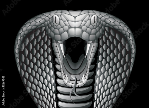 Cobra
