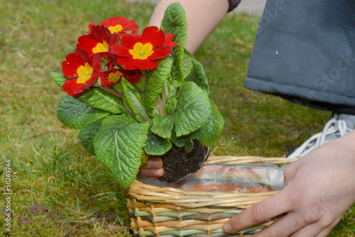 Gartenarbeit photo