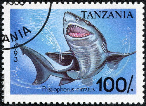 stamp printed in Tanzania showing Longnose sawshark