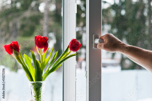 window with mosquito net photo