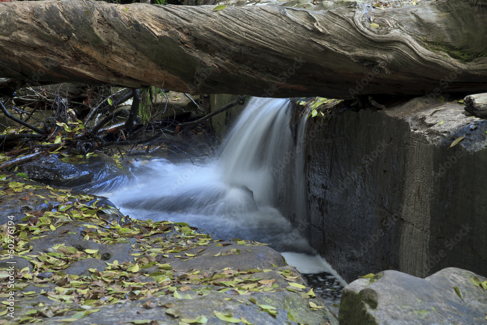 Naklejka premium waterfall in deep forest