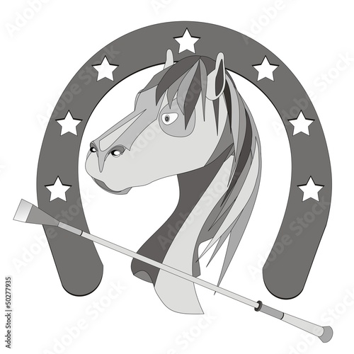 Fondo caballo_3