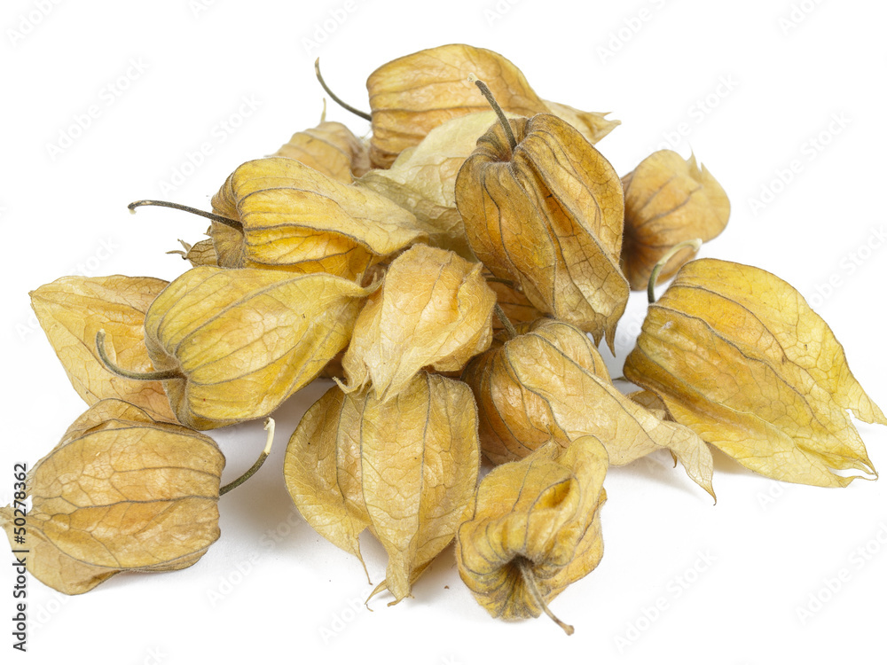 ground-cherry on a white background