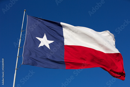 State Flag of Texas