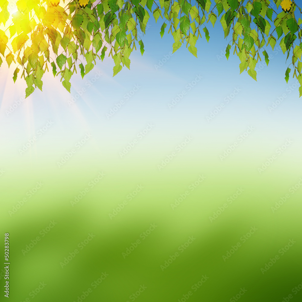 green nature background