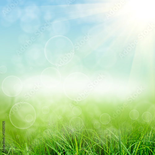 green nature background