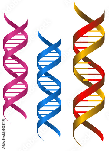 DNA elements