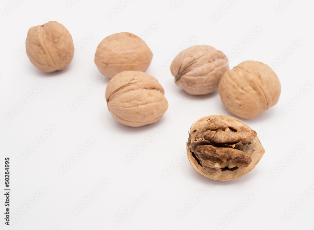 walnut open and others closed on White Background walnut open and others closed on White Background