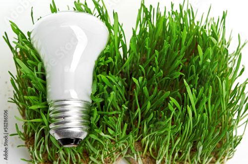 light bulb on grass symbolizing green energy