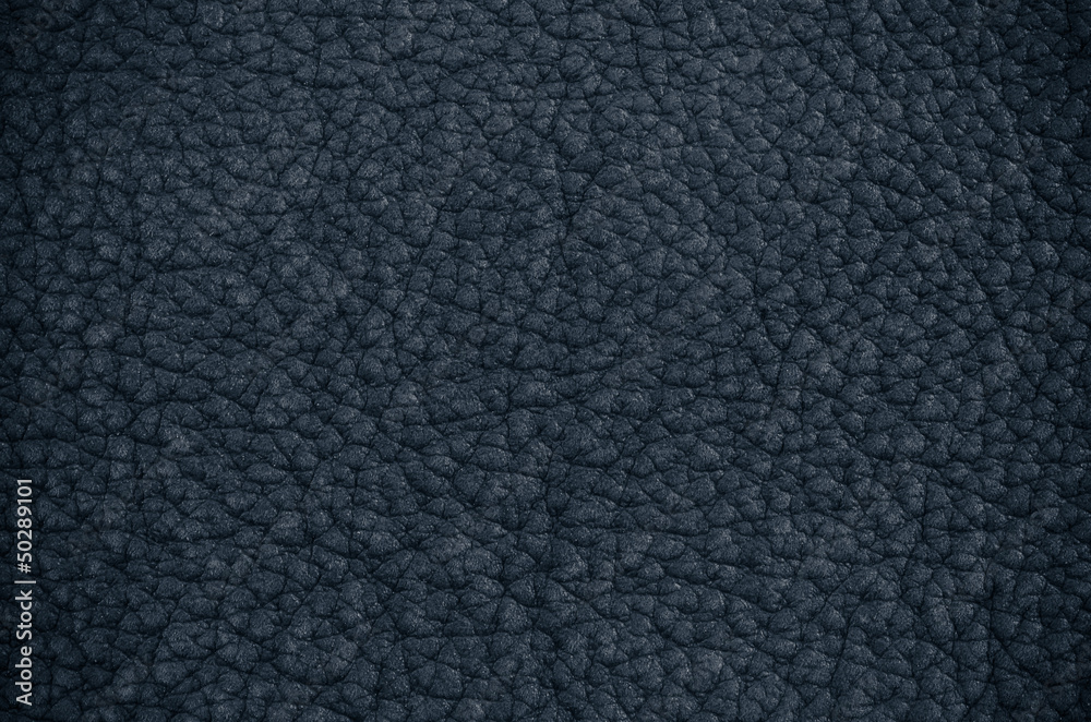 Blue leather Blue leather