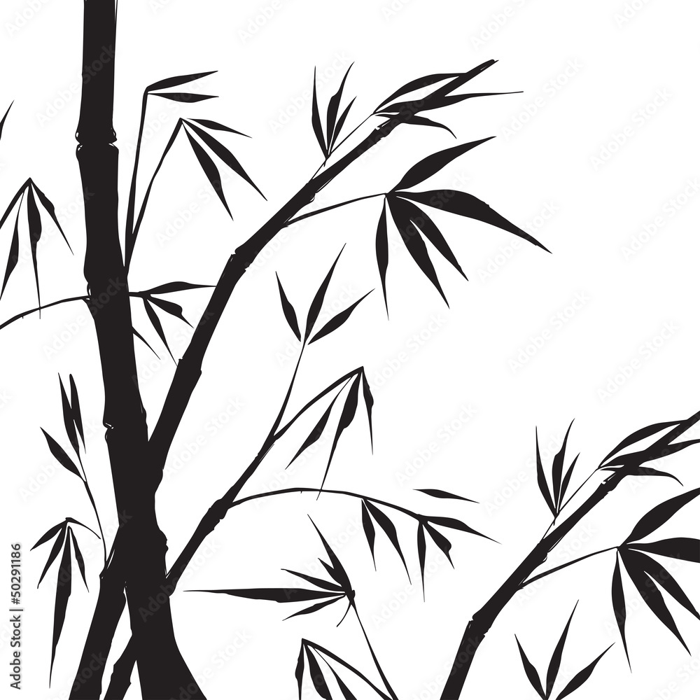 Obraz premium Bamboo isolated illustration.