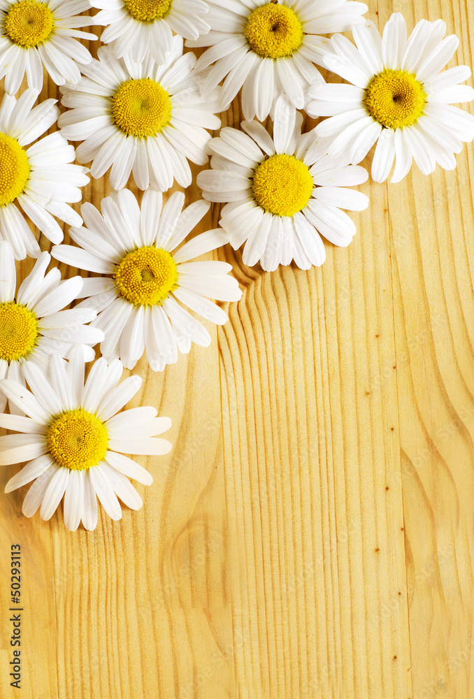 Obraz premium background