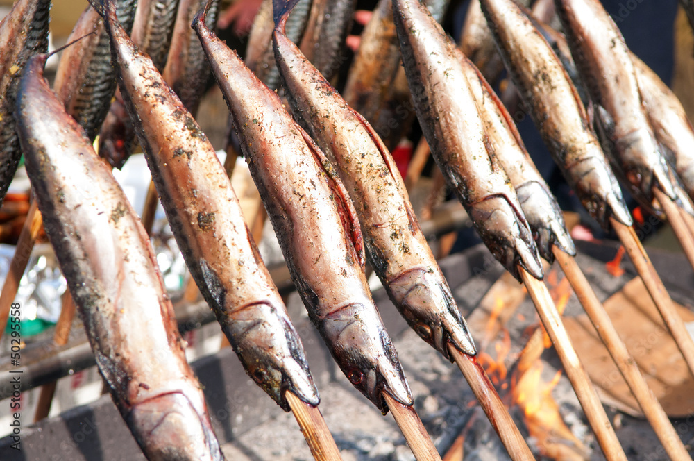 Mackerel on a Stick ! Mackerel on a Stick !