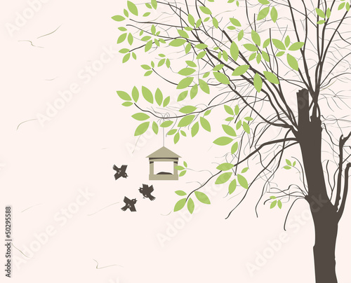 spring landscape with tree young leaves and bird feeders