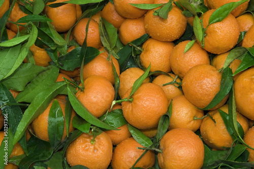 Mandarini con foglie