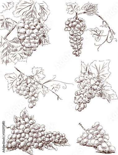 grape