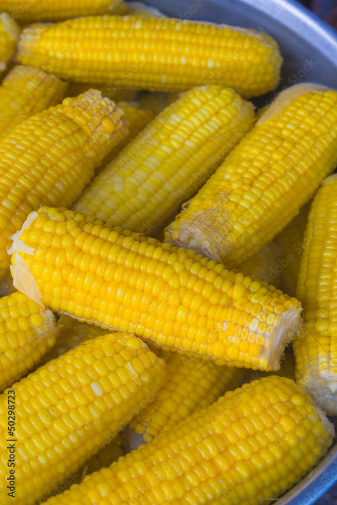 Corn Corn