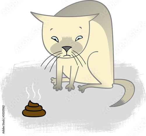 Guilty cat