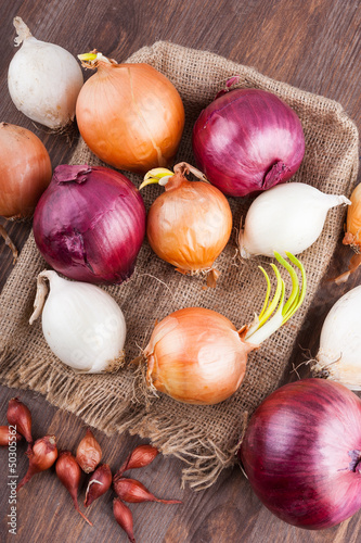 Different varieties of onions on a kitchen board and bagging