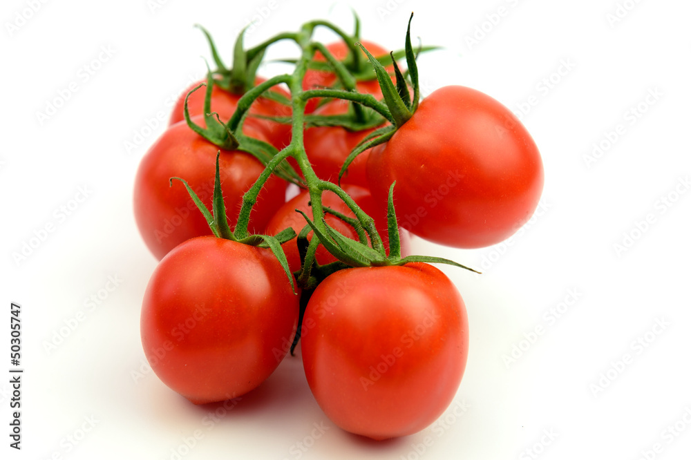 tomatoes on a branch isolated
