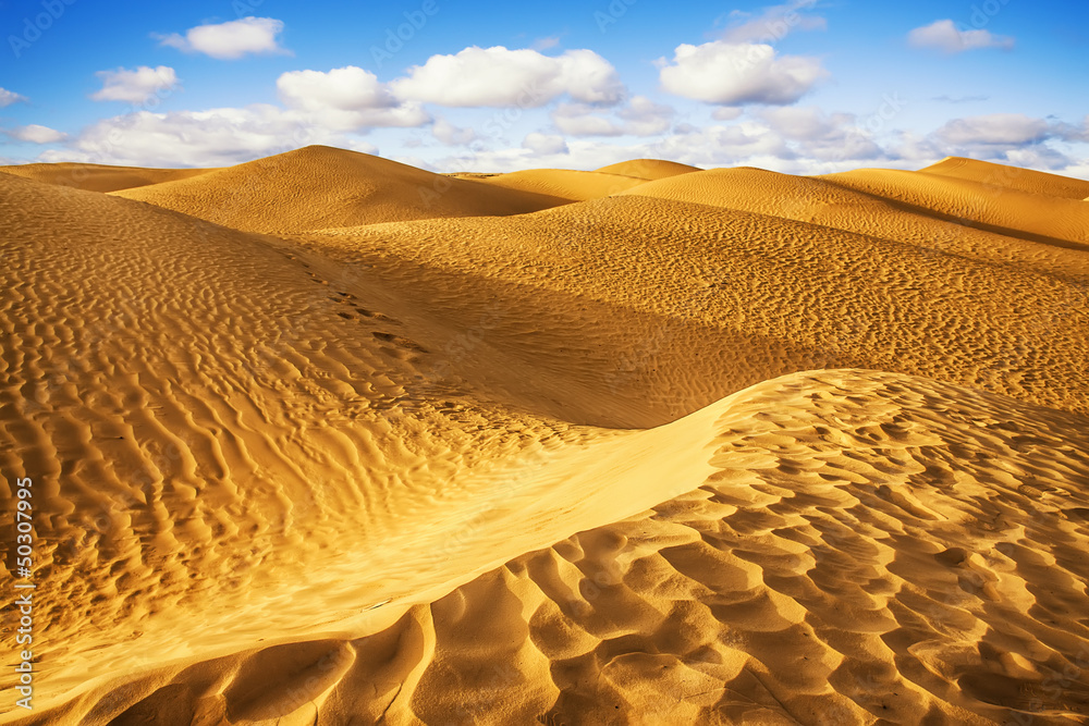 Sahara desert - Douz, Tunisia. - obrazy, fototapety, plakaty 