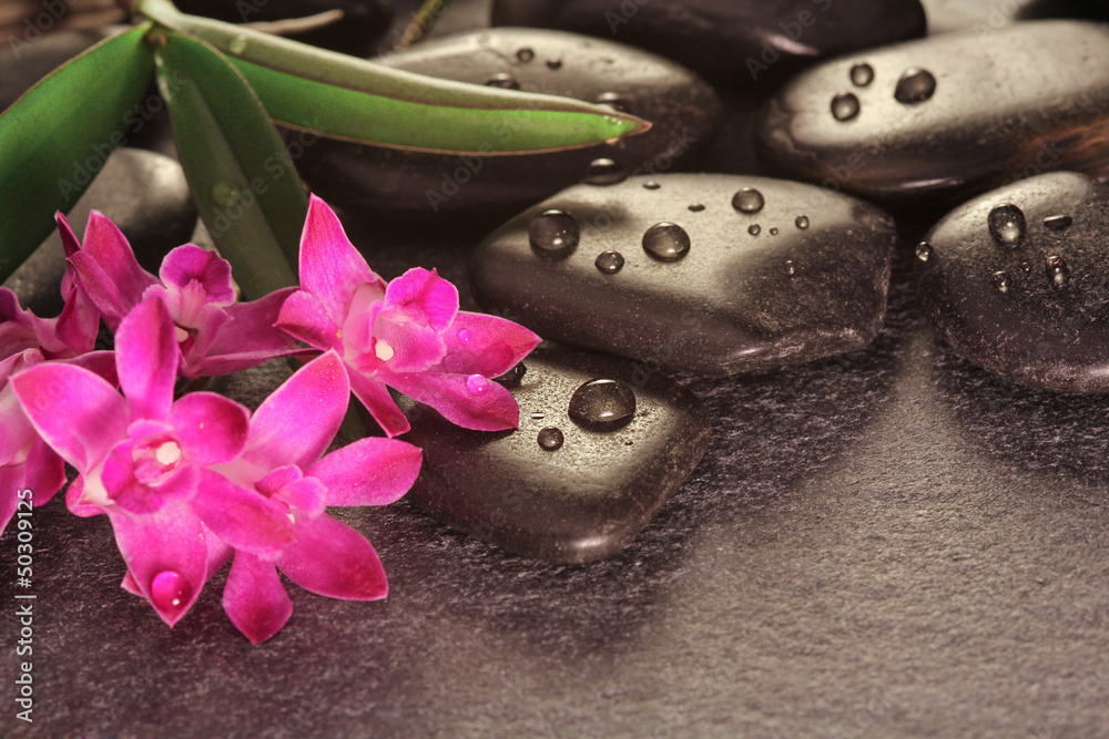 Massage and wellness with hot stones Massage and wellness with hot stones