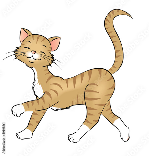spazierende Katze